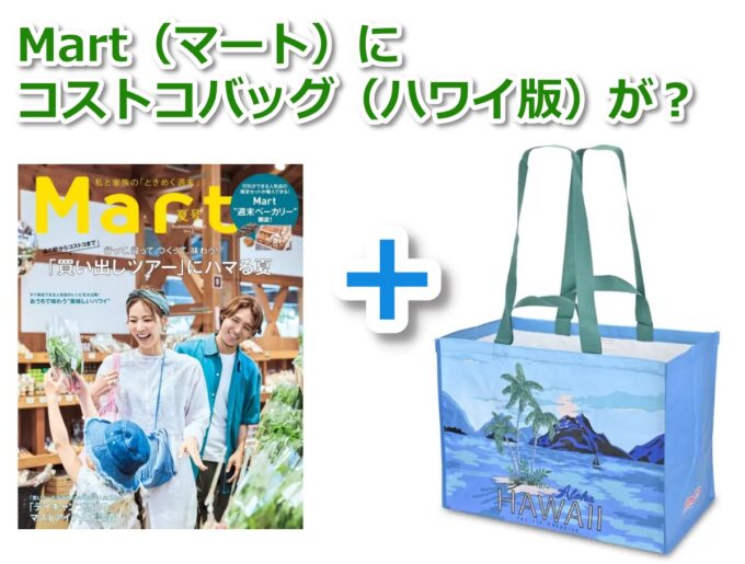 コストコ カリフォルニア ショッピングバッグ 2枚パックは、どこで買える？ | コストコショッピングと食材を活かした調理／良い物を厳選案内する通販情報！